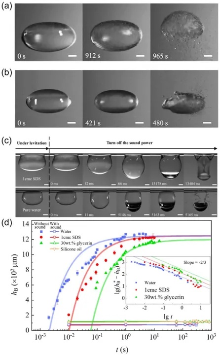 23分36秒!“吹泡泡”吹出个世界纪录 23分36秒!“吹泡泡”吹出个世界纪录