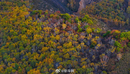 晒出来！你那里秋日浓度有多高