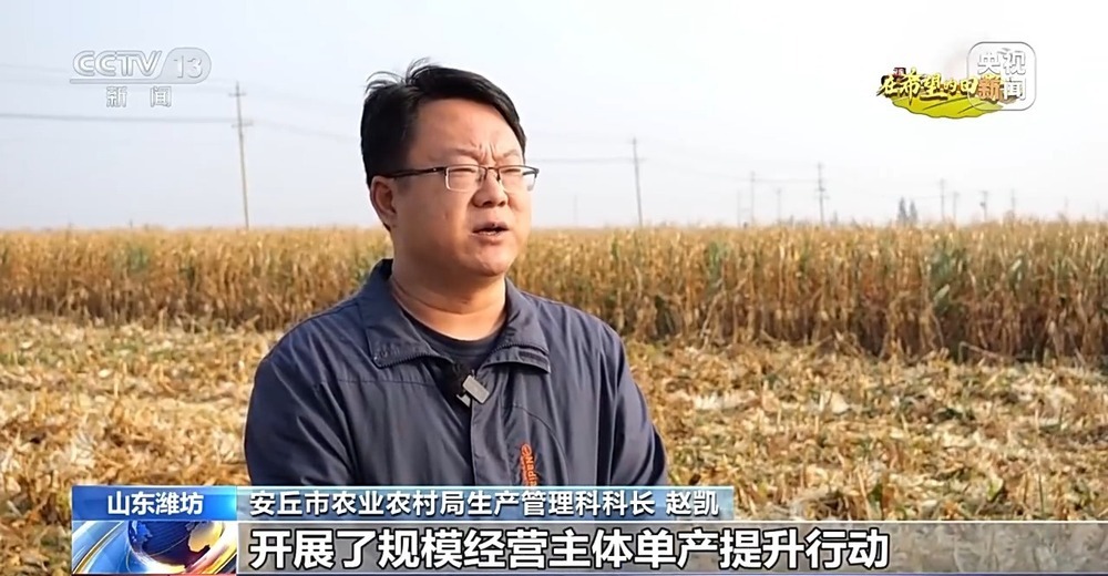 北玉米南水稻 藜麦也来凑热闹 共绘金秋好“丰”貌 北玉米南水稻 藜麦也来凑热闹 共绘金秋好“丰”貌