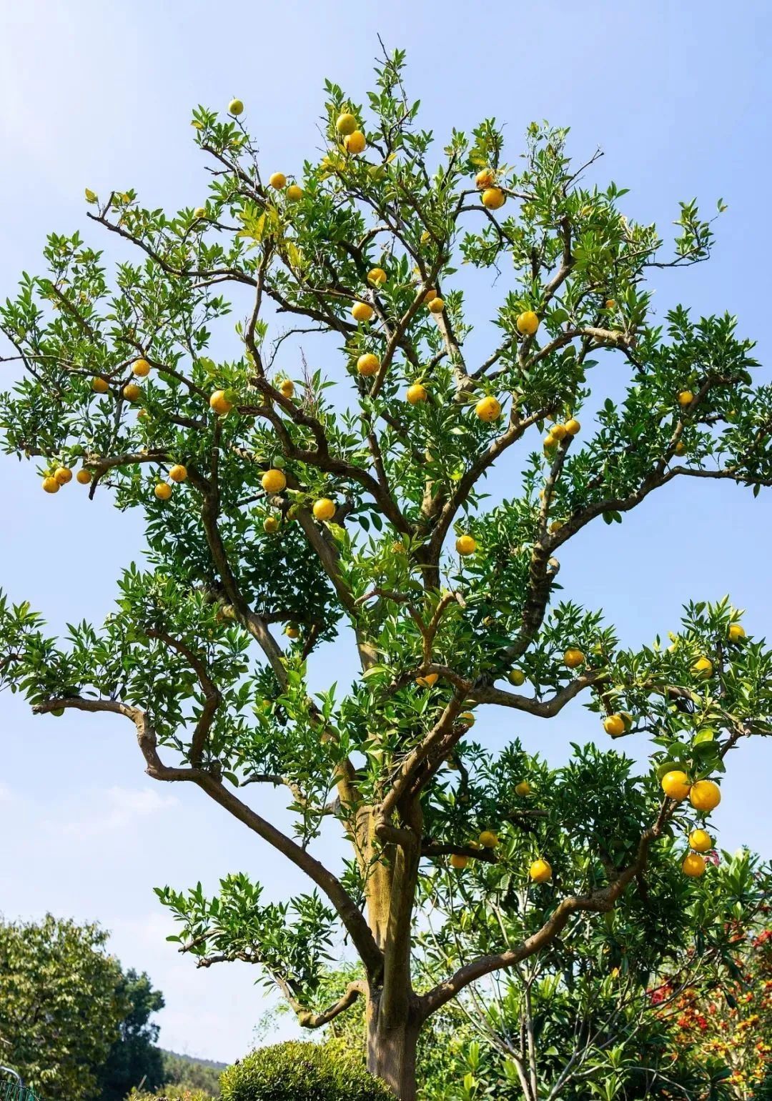 街头大量出现!紧急提醒:千万别捡 街头大量出现!紧急提醒:千万别捡