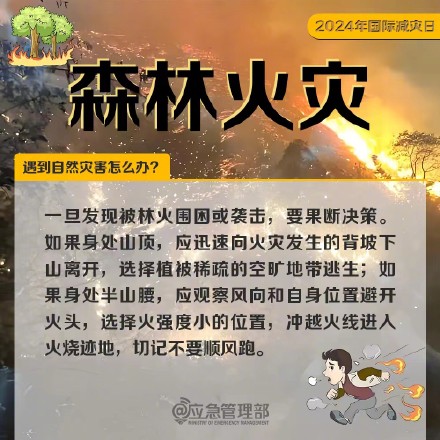 第35个国际减灾日,这些防灾减灾自救知识要牢记! 第35个国际减灾日,这些防灾减灾自救知识要牢记!