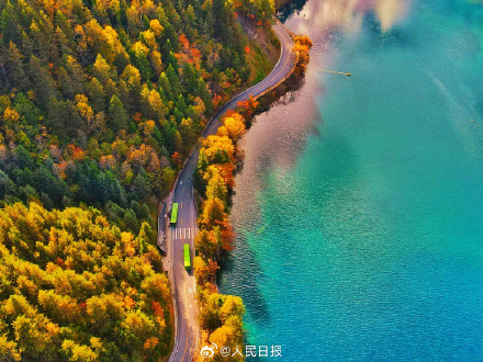 每一张都美！这不是油画这是九寨沟彩林