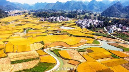晒出来！你那里秋日浓度有多高