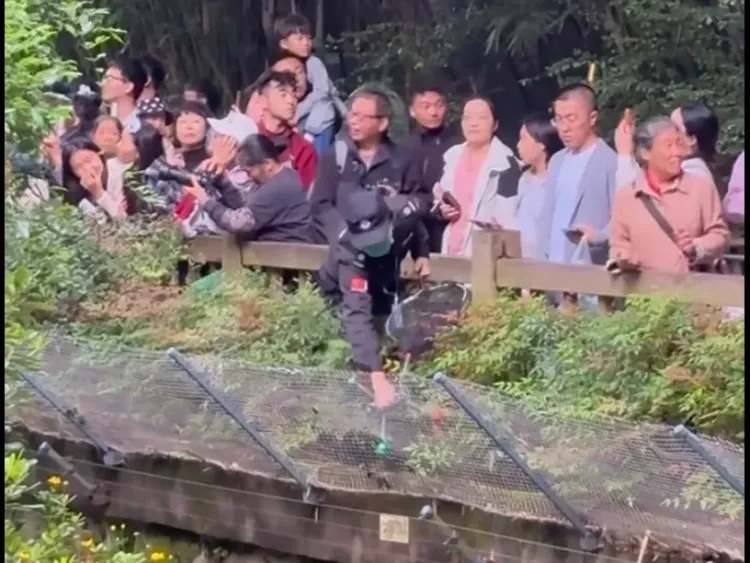 当场抓获!张某某(男,19岁)终身禁入! 当场抓获!张某某(男,19岁)终身禁入!