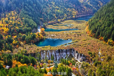 每一张都美！这不是油画这是九寨沟彩林