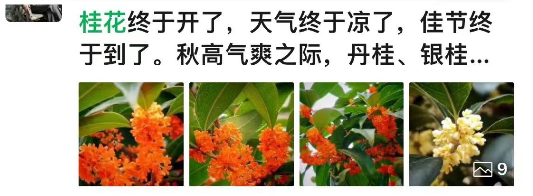 大雨、暴雨到安徽！大反转！阜阳接下来......