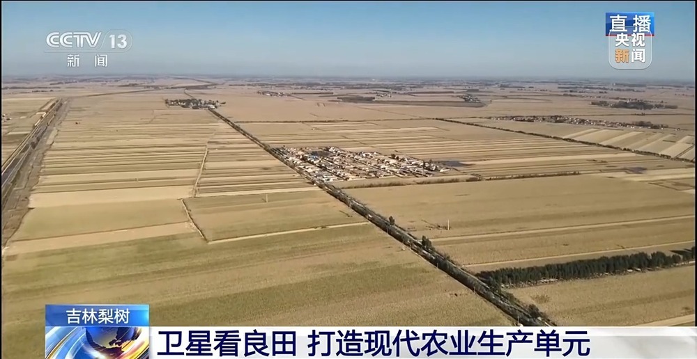 北玉米南水稻 藜麦也来凑热闹 共绘金秋好“丰”貌 北玉米南水稻 藜麦也来凑热闹 共绘金秋好“丰”貌