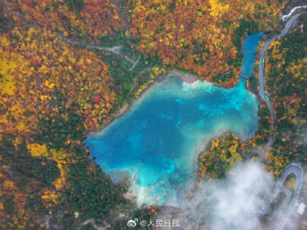 每一张都美！这不是油画这是九寨沟彩林