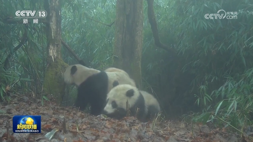 政策工具发力、利好积聚支撑 中国经济高质量发展“底气足”