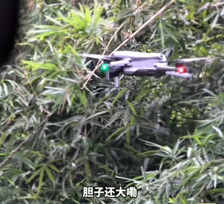 当场抓获!张某某(男,19岁)终身禁入! 当场抓获!张某某(男,19岁)终身禁入!