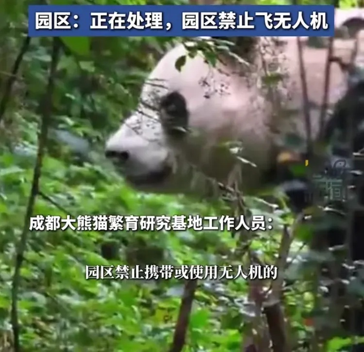 当场抓获!张某某(男,19岁)终身禁入! 当场抓获!张某某(男,19岁)终身禁入!