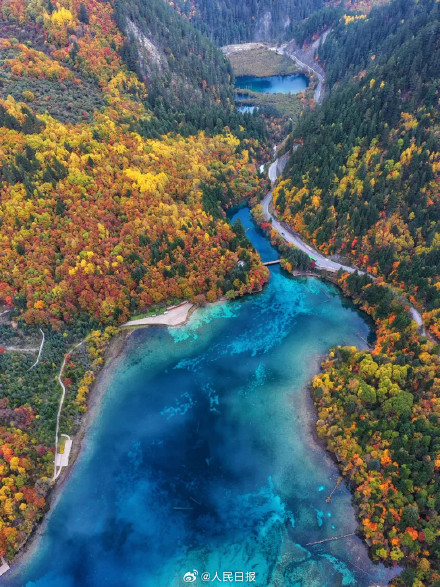 每一张都美！这不是油画这是九寨沟彩林