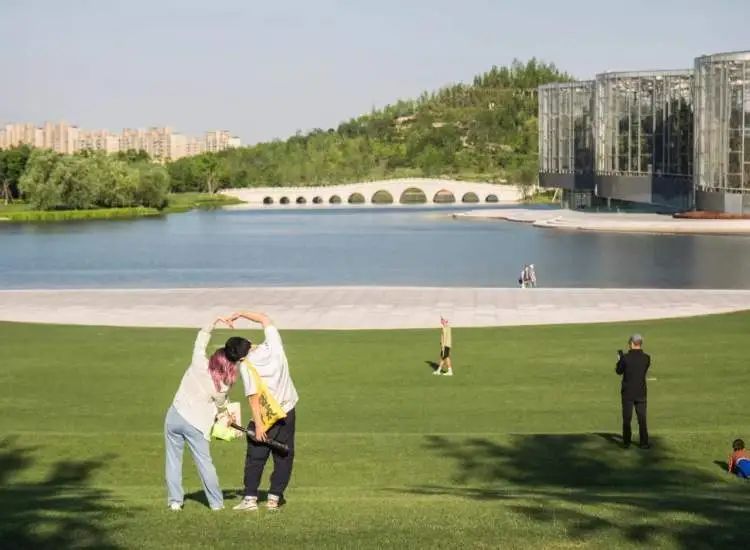 咋回事？上海网红草坪突然全黄了，官方回应：都割了，原因是→