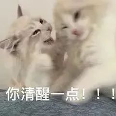 跟“美女”约会,还有“佣金”?他最终“人财两空”…… 跟“美女”约会,还有“佣金”?他最终“人财两空”……