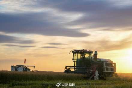 晒出来！你那里秋日浓度有多高