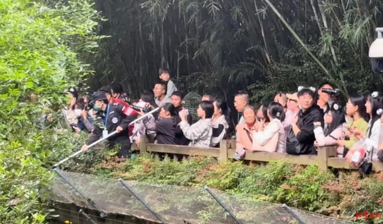 当场抓获!张某某(男,19岁)终身禁入! 当场抓获!张某某(男,19岁)终身禁入!