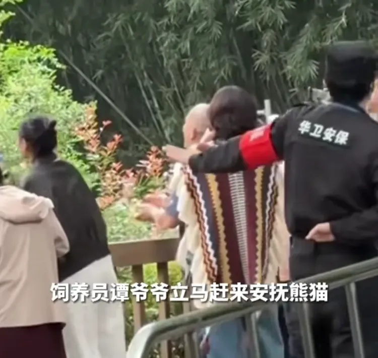 当场抓获!张某某(男,19岁)终身禁入! 当场抓获!张某某(男,19岁)终身禁入!