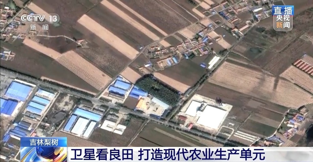 北玉米南水稻 藜麦也来凑热闹 共绘金秋好“丰”貌 北玉米南水稻 藜麦也来凑热闹 共绘金秋好“丰”貌