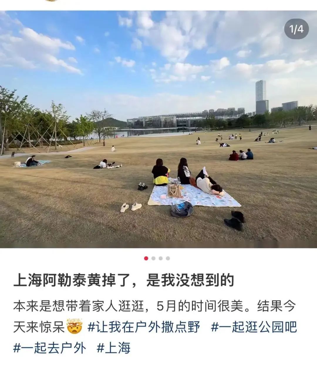 又一场秋雨即将登场，新一股冷空气已在路上！上海网红草坪一夜之间变黄？官方回应