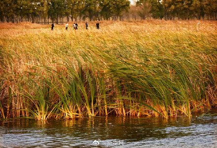 晒出来！你那里秋日浓度有多高