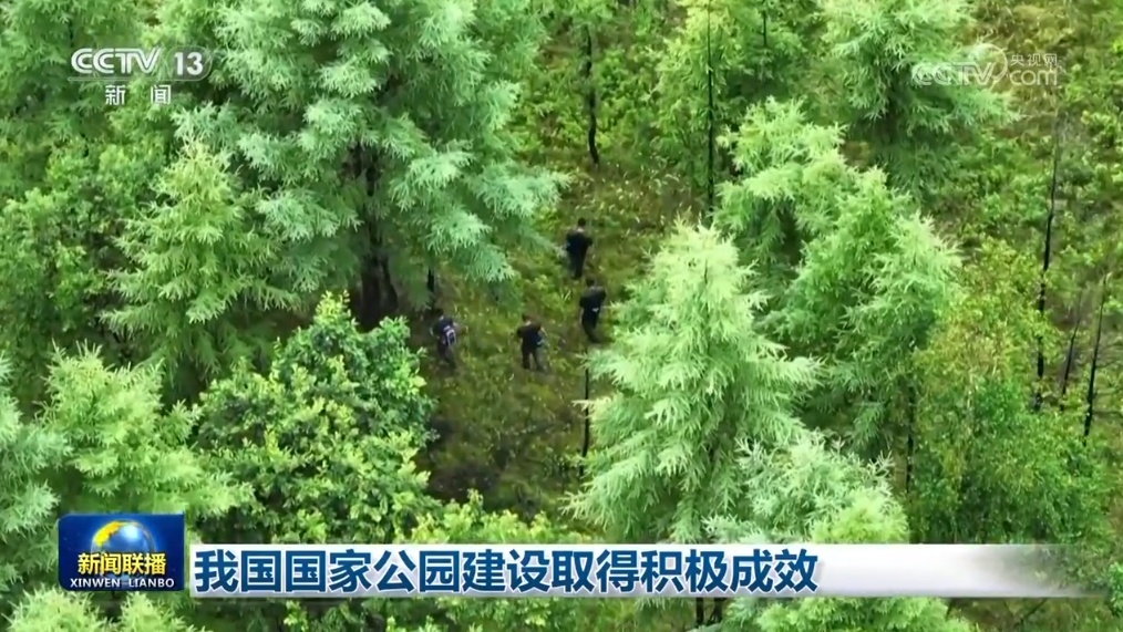 政策工具发力、利好积聚支撑 中国经济高质量发展“底气足”