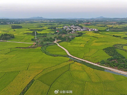 晒出来！你那里秋日浓度有多高