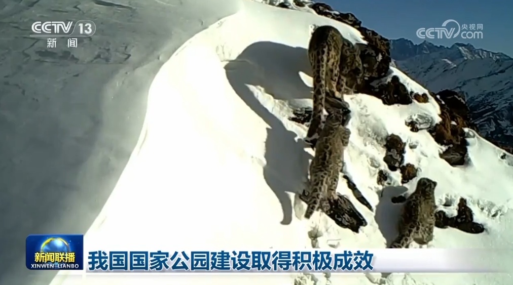 政策工具发力、利好积聚支撑 中国经济高质量发展“底气足”