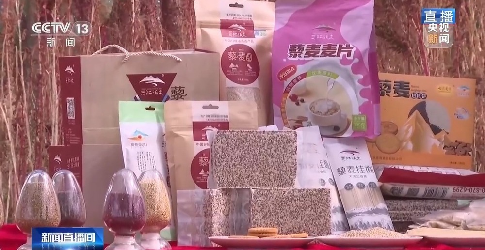 北玉米南水稻 藜麦也来凑热闹 共绘金秋好“丰”貌 北玉米南水稻 藜麦也来凑热闹 共绘金秋好“丰”貌