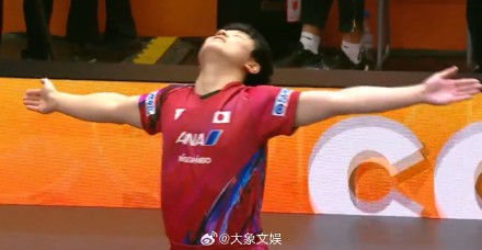 张本智和姆巴佩庆祝动作