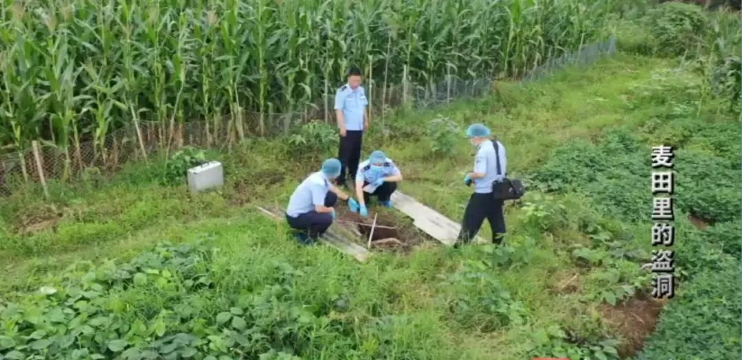 倒卖的青铜器沾有新鲜泥土,牵出其背后的古墓葬盗掘团伙…… 倒卖的青铜器沾有新鲜泥土,牵出其背后的古墓葬盗掘团伙……