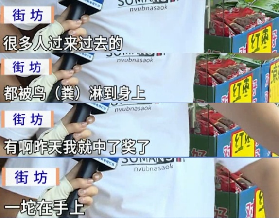 广东一社区大量燕子聚集，一不留神就会“惹屎上身”