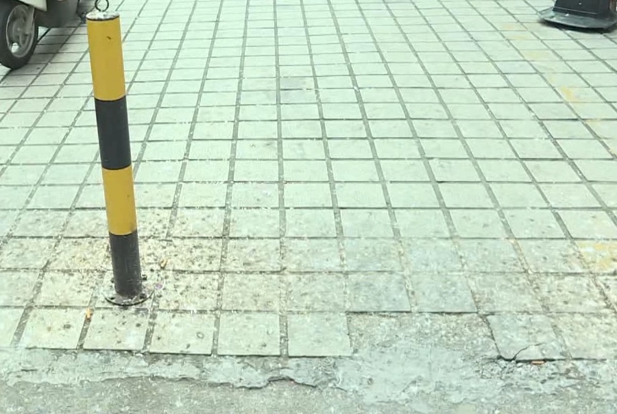 广东一社区大量燕子聚集，一不留神就会“惹屎上身”