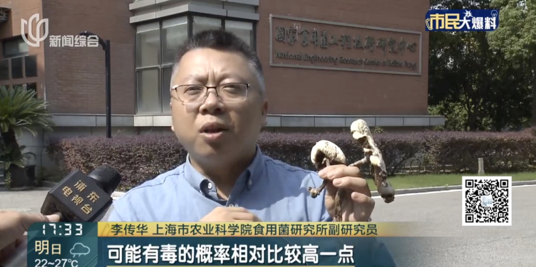 千万别碰！千万别碰！上海突然大量涌现