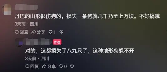 野猪致害26省，多地招募“野猪猎人”！