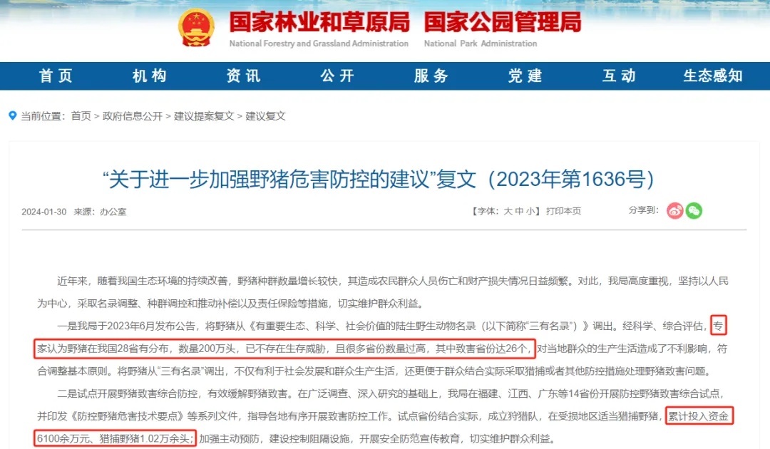 野猪致害26省，多地招募“野猪猎人”！