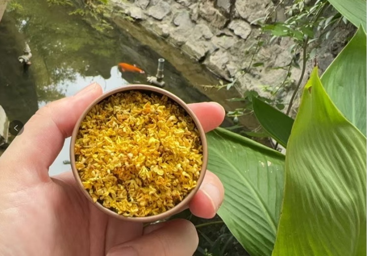 终于开了！最近的上海有点“甜”，可入画、可做酒、可美食、可咖啡……