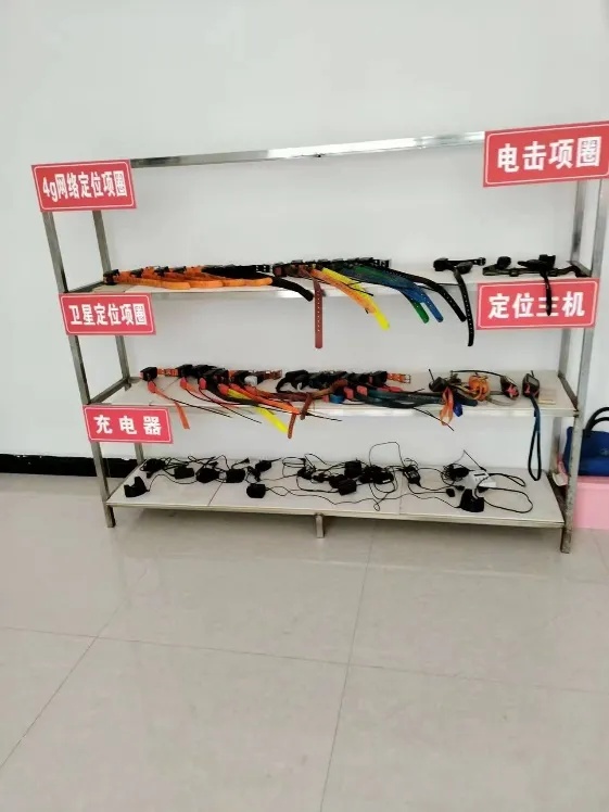 野猪致害26省，多地招募“野猪猎人”！