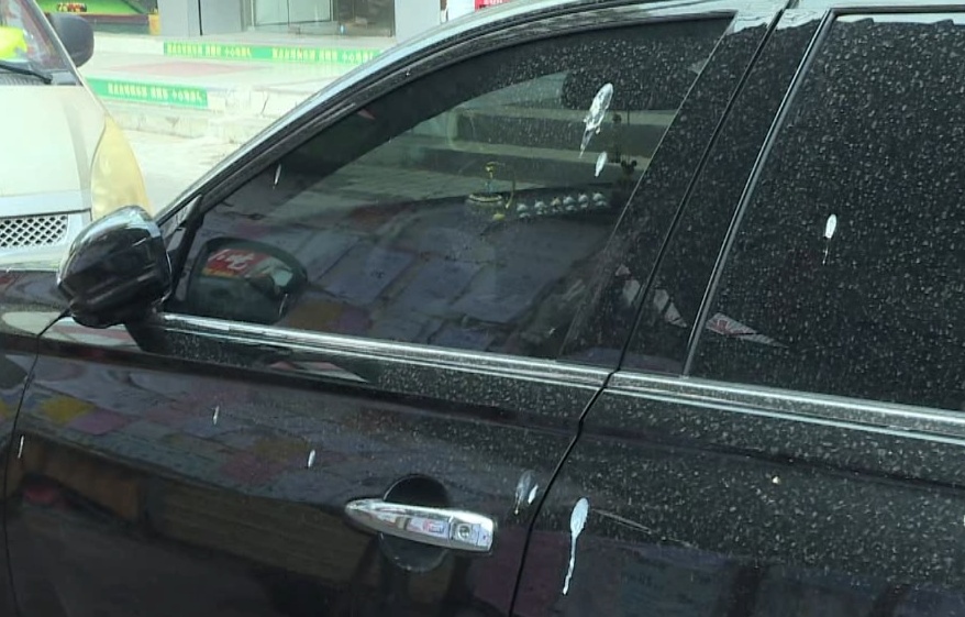 广东一社区大量燕子聚集，一不留神就会“惹屎上身”