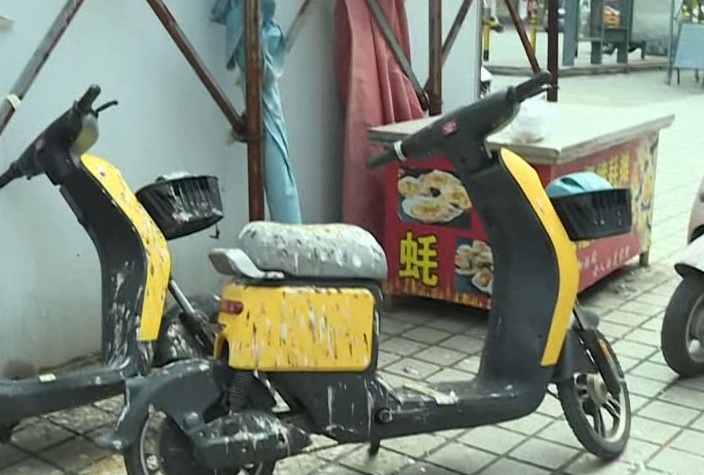 广东一社区大量燕子聚集，一不留神就会“惹屎上身”