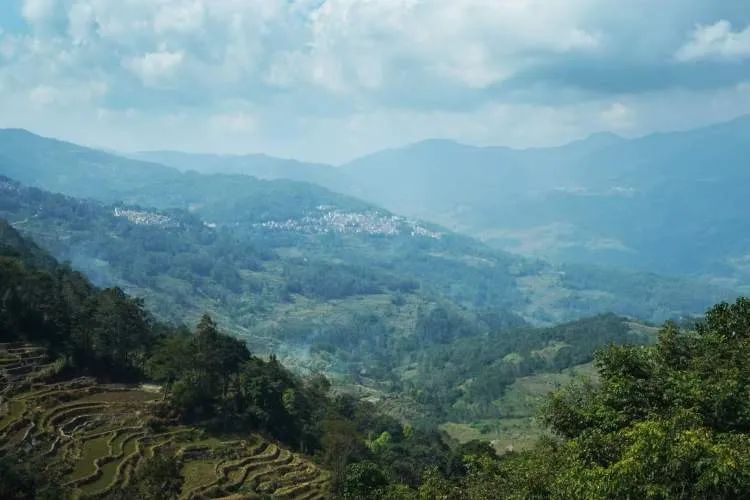 突然爆红的哀牢山究竟什么样？这些上海市民曾去过