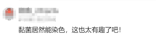 突然火了！年轻人扎堆养……网友：这也能养?