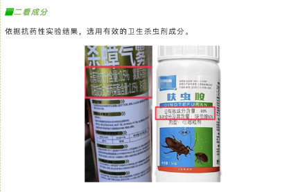 蟑螂“检测出抗药性”，佛山疾控最新回应：不科学！