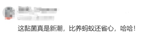突然火了！年轻人扎堆养……网友：这也能养?