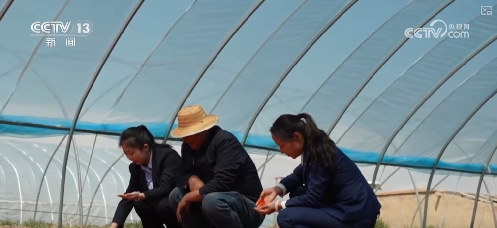 “土特产”变身“新潮品” 成群众持续增收“金钥匙” “土特产”变身“新潮品” 成群众持续增收“金钥匙”