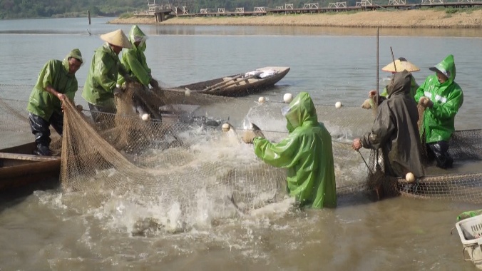 江西彭泽：渔工秋捕打鱼忙