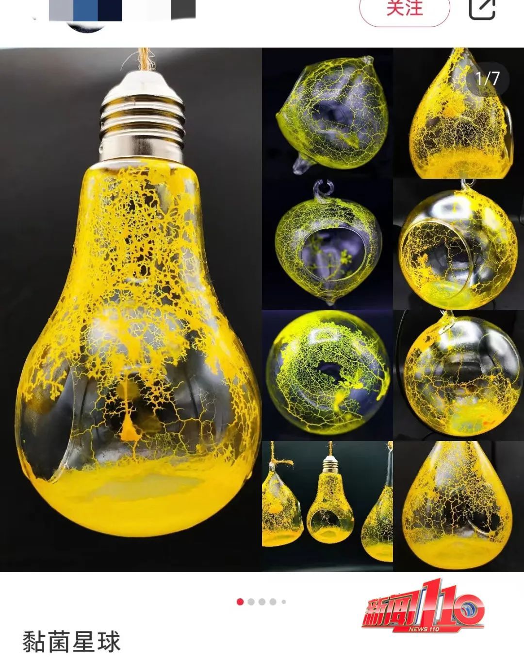 现在都流行这个?家长傻眼:孩子说要养它 现在都流行这个?家长傻眼:孩子说要养它