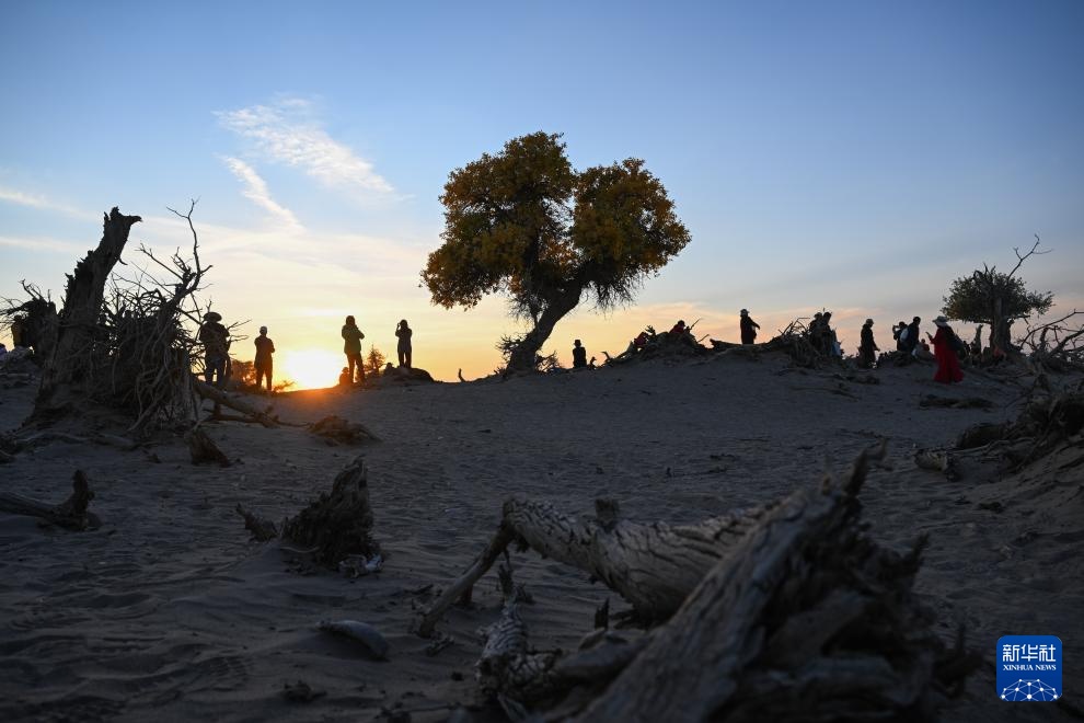 美丽中国|金秋额济纳美景引游人 美丽中国|金秋额济纳美景引游人