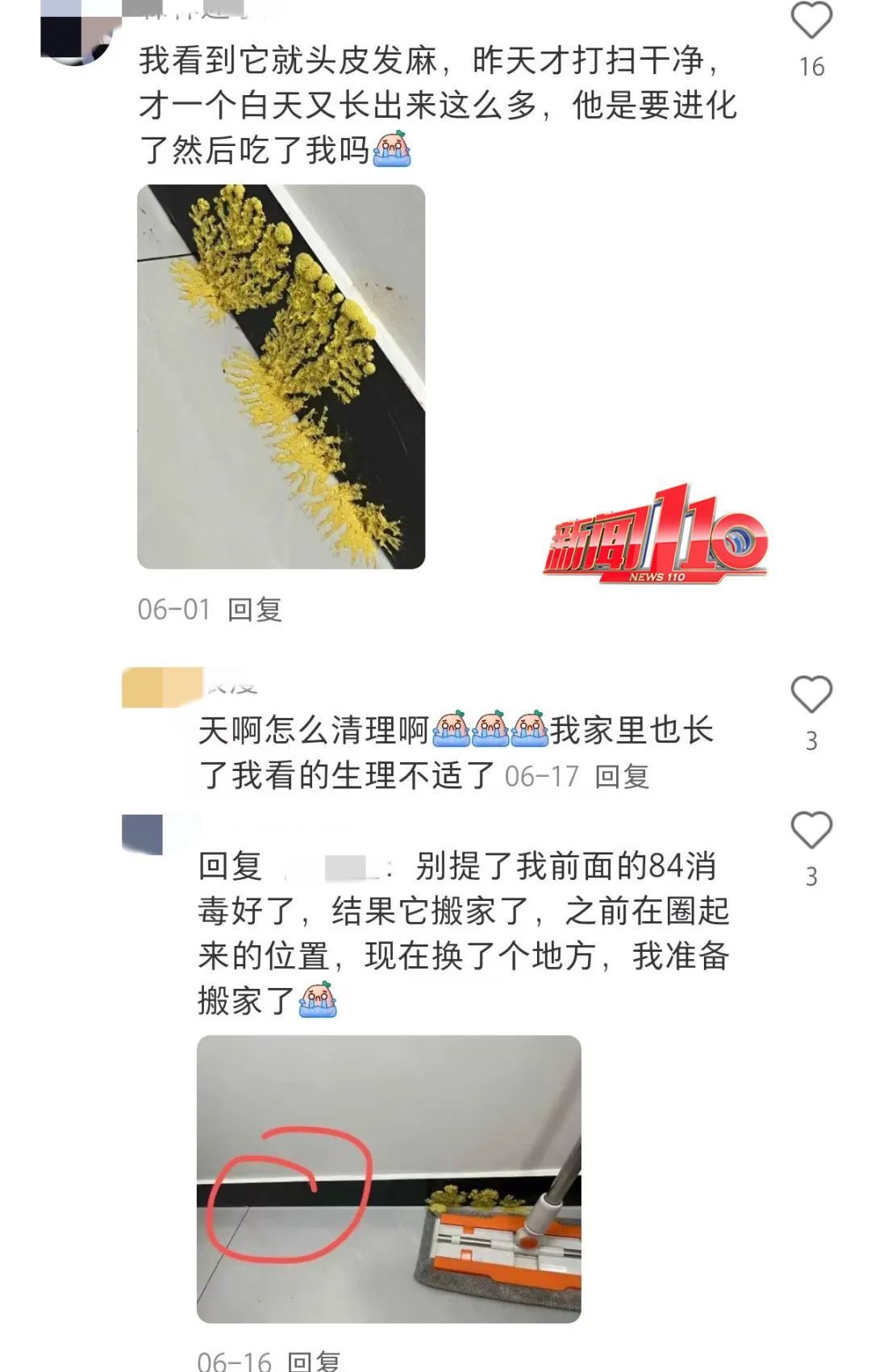 现在都流行这个?家长傻眼:孩子说要养它 现在都流行这个?家长傻眼:孩子说要养它