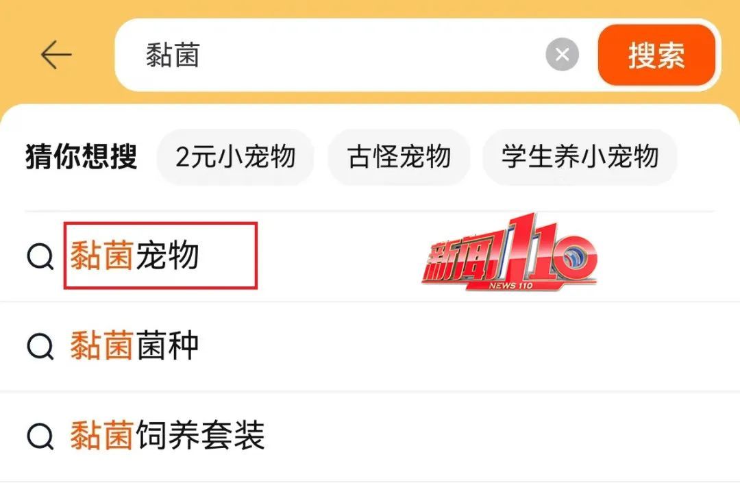 现在都流行这个?家长傻眼:孩子说要养它 现在都流行这个?家长傻眼:孩子说要养它