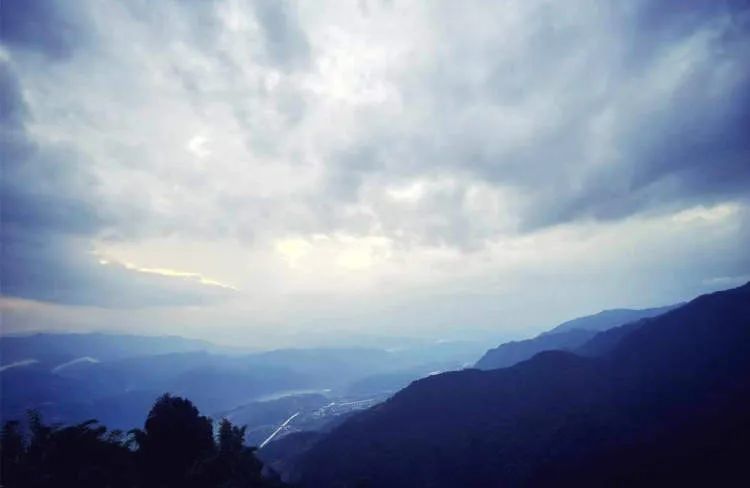 突然爆红的哀牢山究竟什么样？这些上海市民曾去过